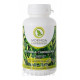 MORINGA Moringa Caribbean (standard)