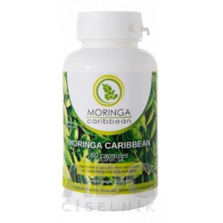 MORINGA Moringa Caribbean (standard)