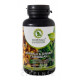 MORINGA Dia MORINGA & GINGER Caribbean