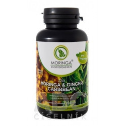 MORINGA Dia MORINGA & GINGER Caribbean