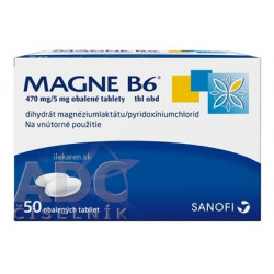 MAGNE-B6
