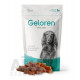 Geloren Small DOG
