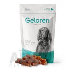 Geloren Small DOG
