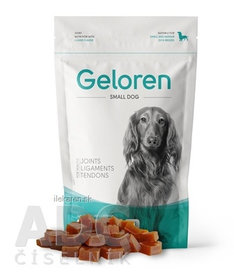 Geloren Small DOG Geloren Small DOG