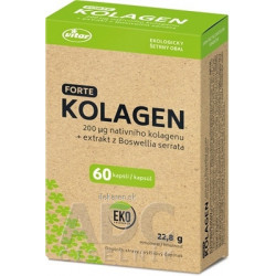 VITAR KOLAGÉN FORTE + extrakt z Boswellia serrata